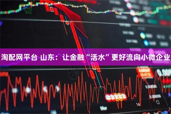 淘配网平台 山东：让金融“活水”更好流向小微企业