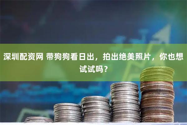深圳配资网 带狗狗看日出，拍出绝美照片，你也想试试吗？