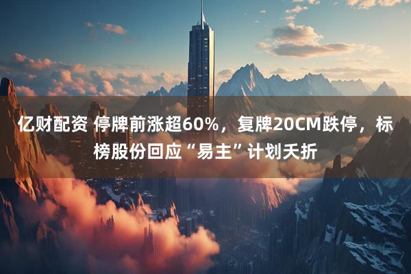 亿财配资 停牌前涨超60%，复牌20CM跌停，标榜股份回应“易主”计划夭折
